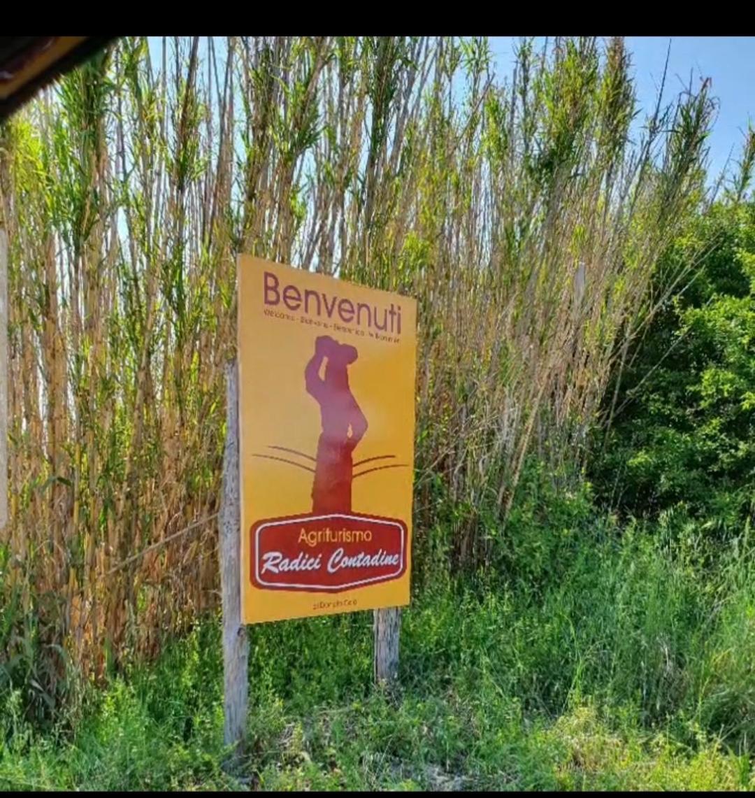 Agriturismo Radici Contadine Bisaccia Kültér fotó